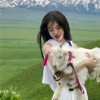 乌龙歼敌记