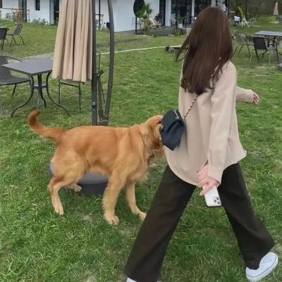 情事