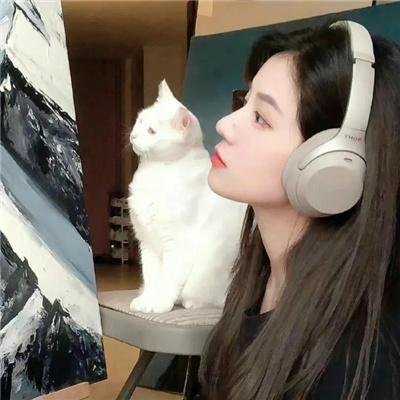 圆圈