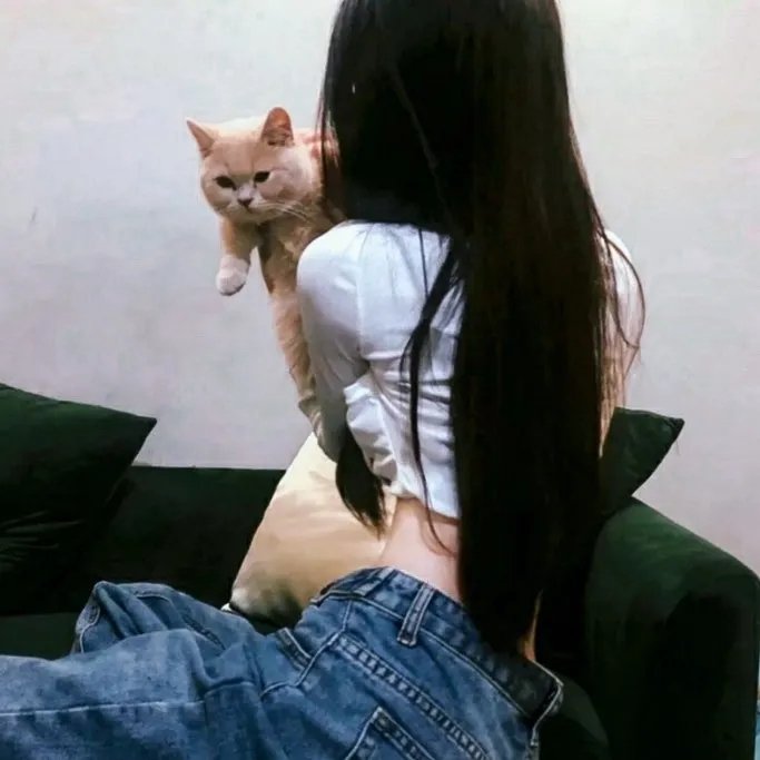 焦点新闻